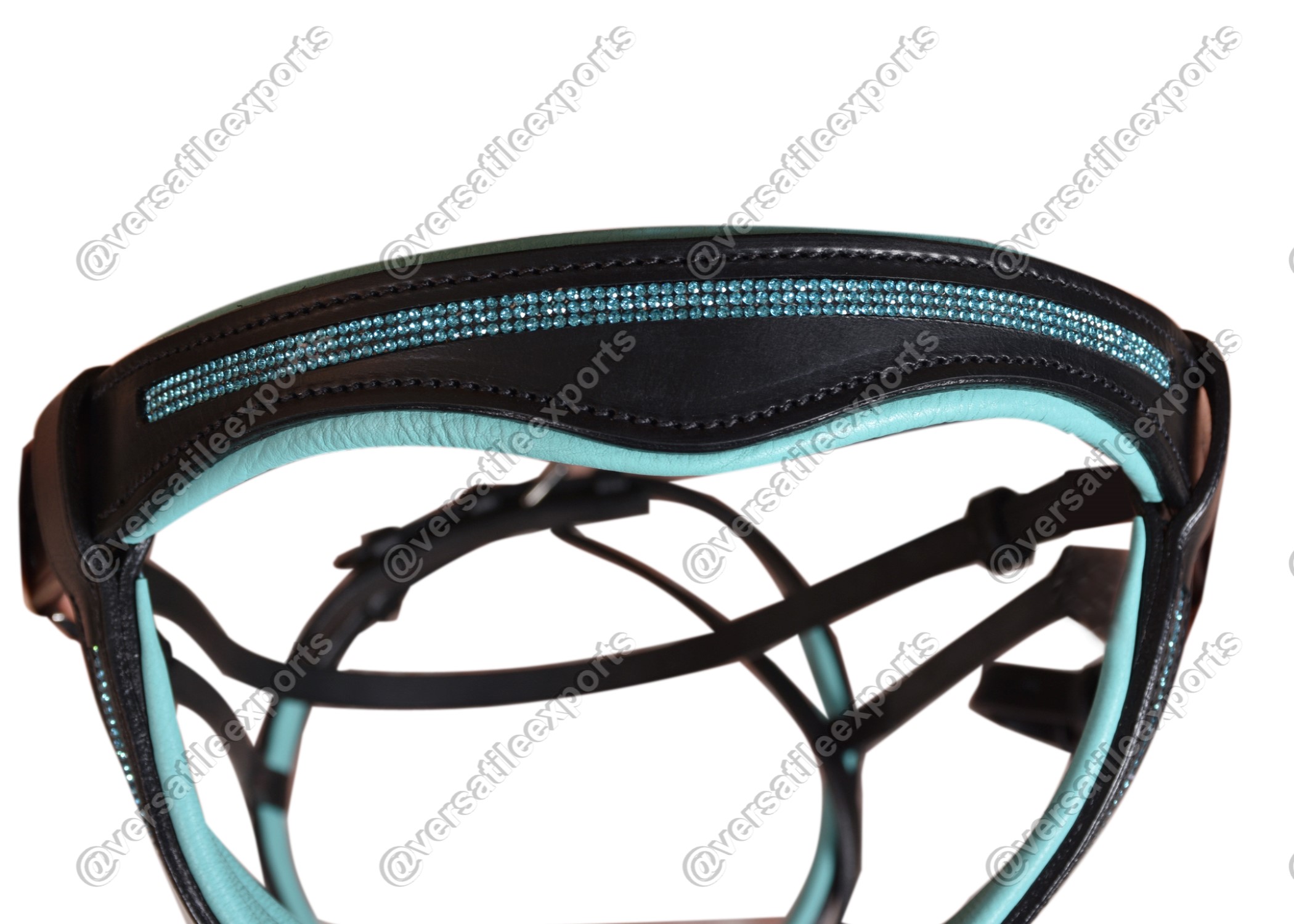 Bridle Shiny